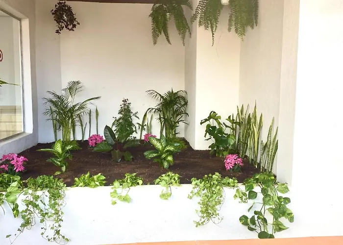 Lejlighed Luxury Bahia Sea Views By Deihu Experiences Los Cristianos (Tenerife)