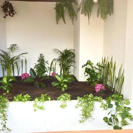 شقة Luxury Bahia Sea Views By Deihu Experiences لوس كريستيانوس